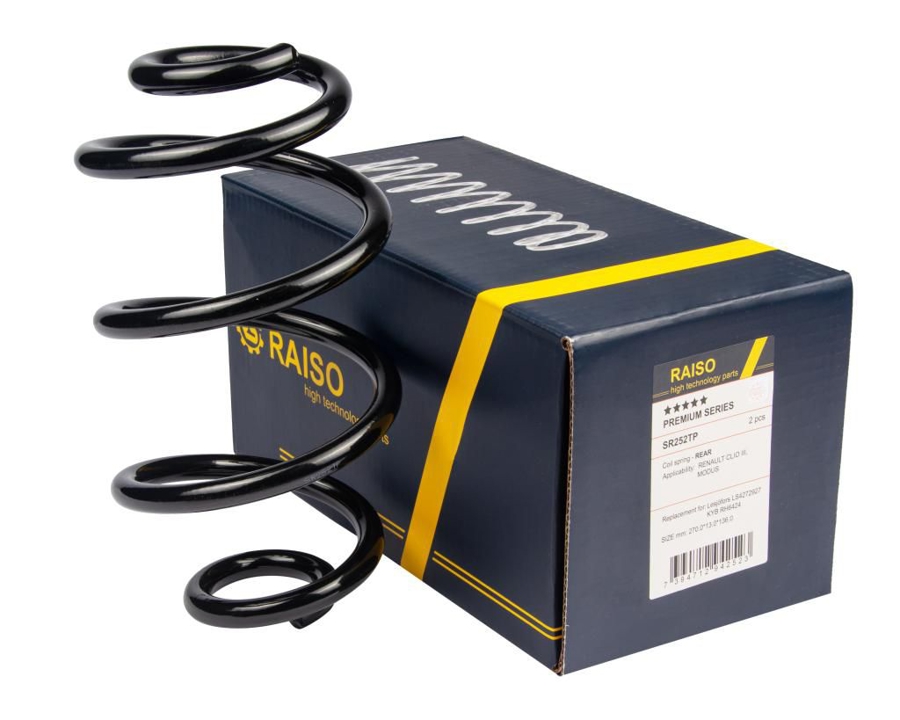 Купити RAISO SR252TP за низькою ціною в Україні!