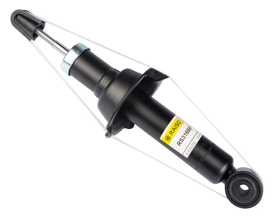 Купити RAISO RS316881 за низькою ціною в Україні!