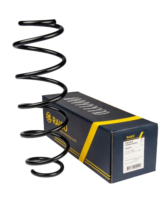 Купити RAISO SR240TP за низькою ціною в Україні!