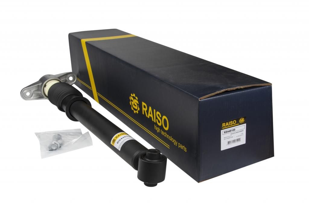 Купить RAISO RS446100 по низкой цене в Украине!