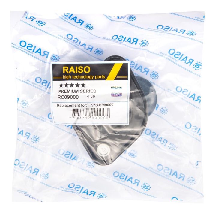 Купить RAISO RC09000 – отличная цена на EXIST.UA!