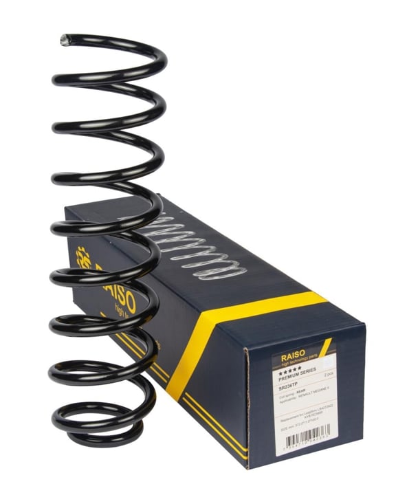 Купити RAISO SR236TP за низькою ціною в Україні!