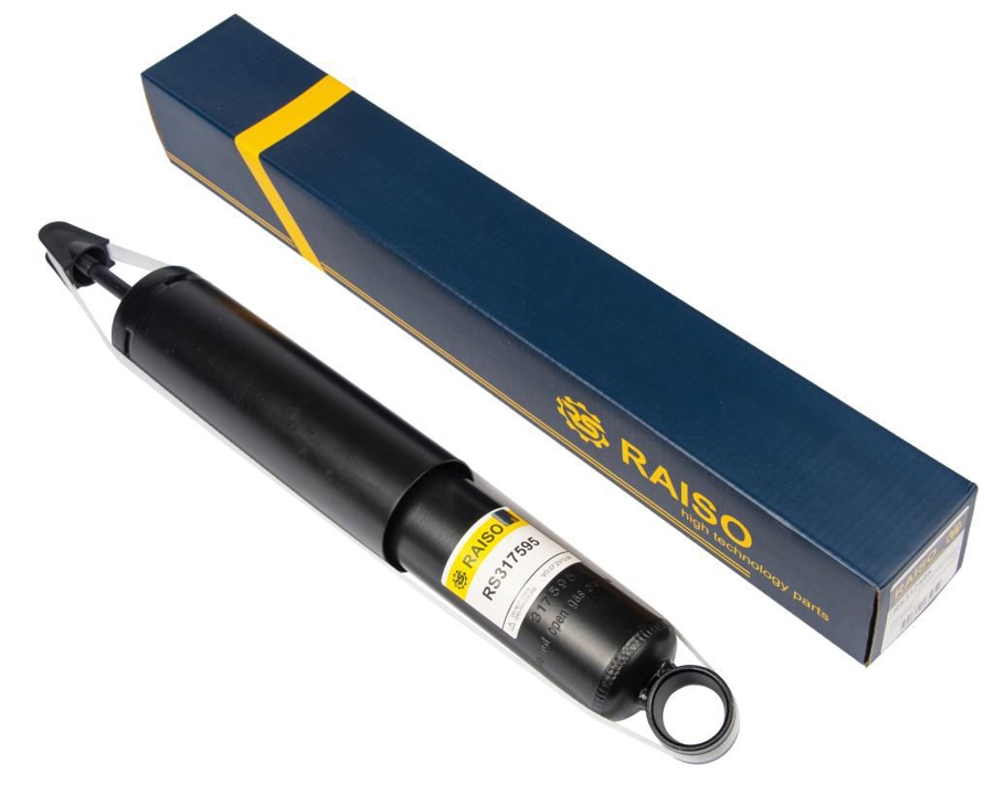 Купити RAISO RS317595 за низькою ціною в Україні!