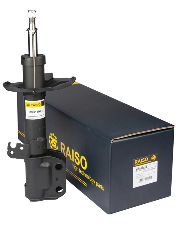 Купити RAISO RS311921 за низькою ціною в Україні!