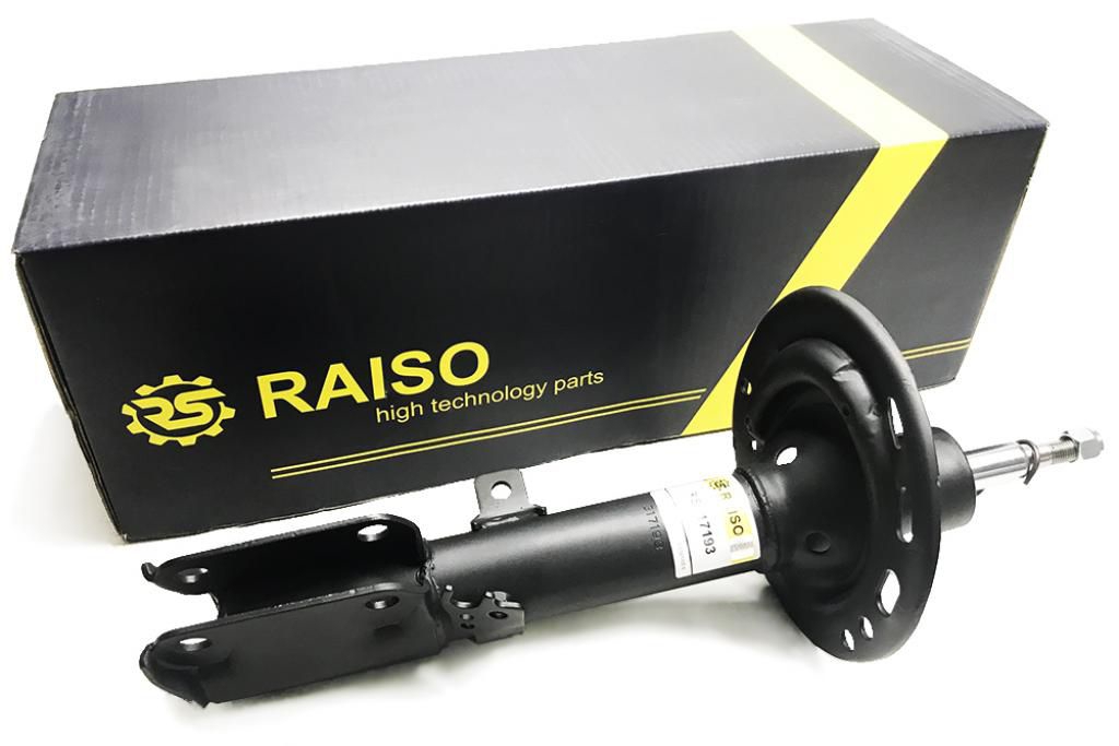 Купити RAISO RS317193 за низькою ціною в Україні!