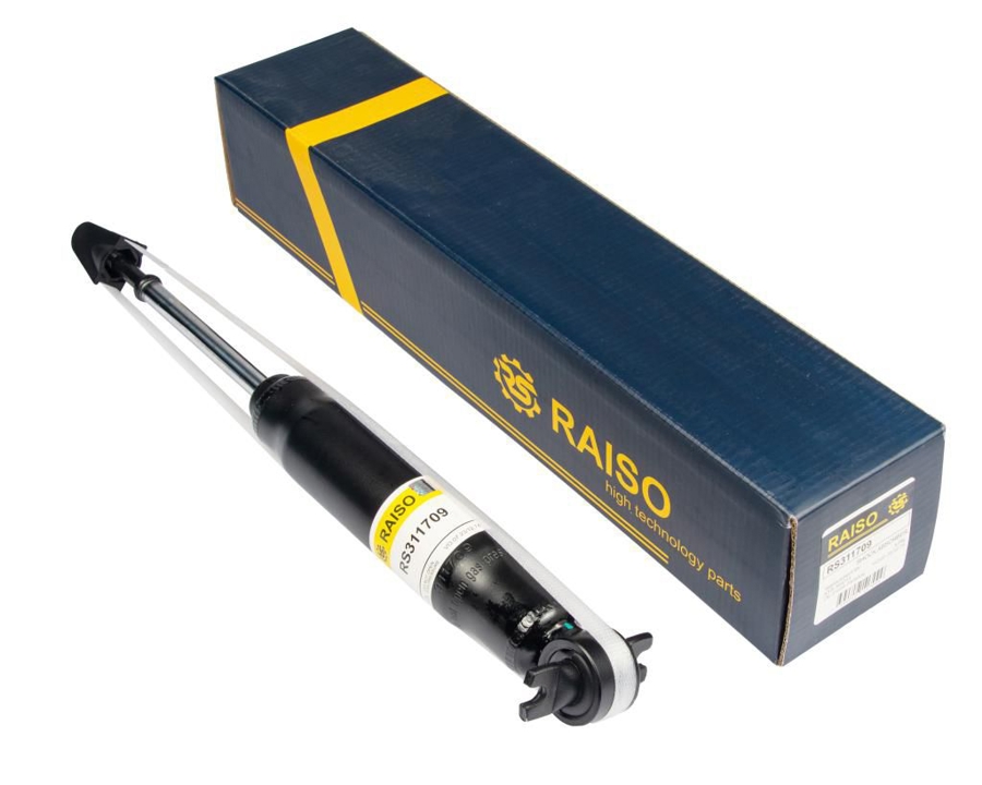 Купити RAISO RS311709 за низькою ціною в Україні!