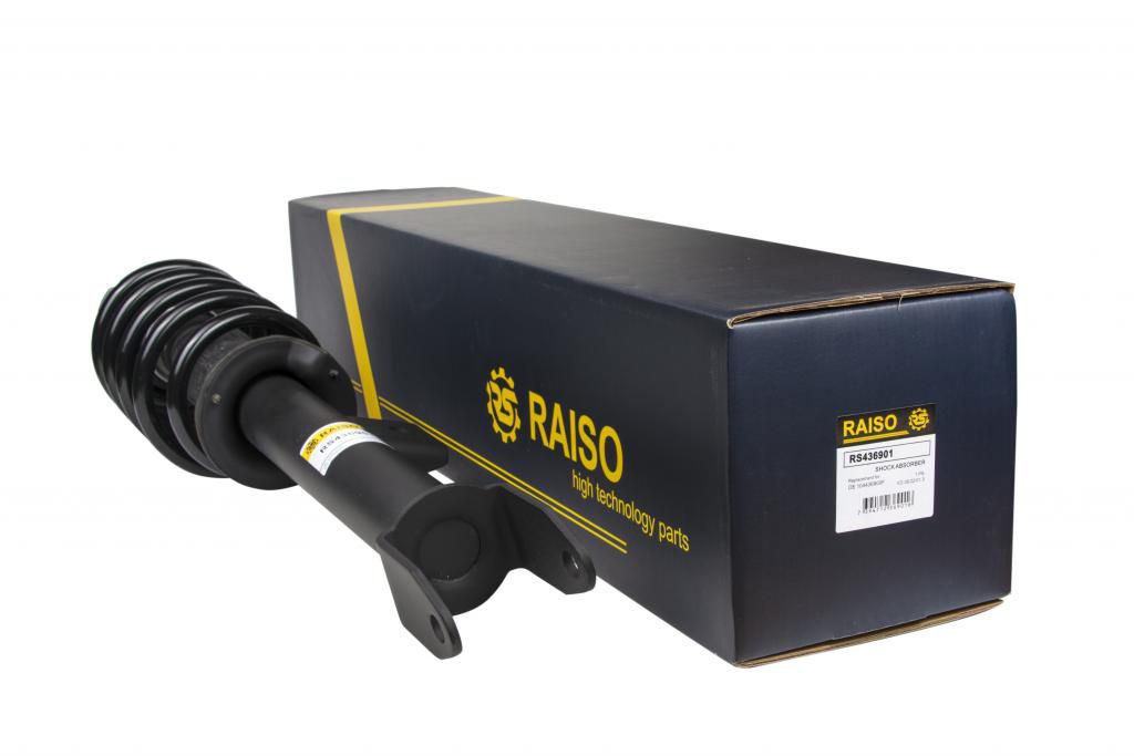 Купити RAISO RS436901 за низькою ціною в Україні!