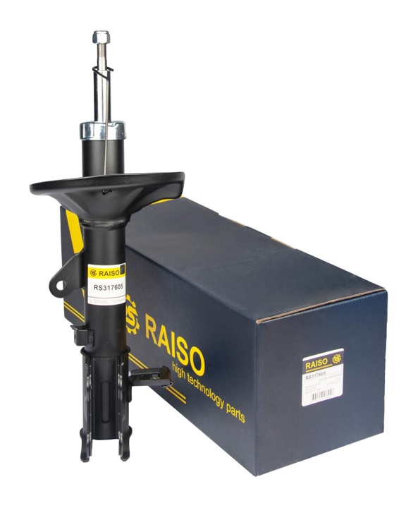 Купити RAISO RS317605 за низькою ціною в Україні!