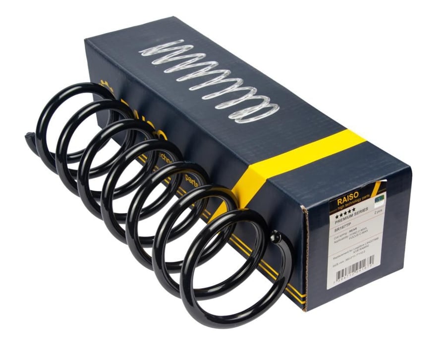 Купити RAISO SR167TP за низькою ціною в Україні!