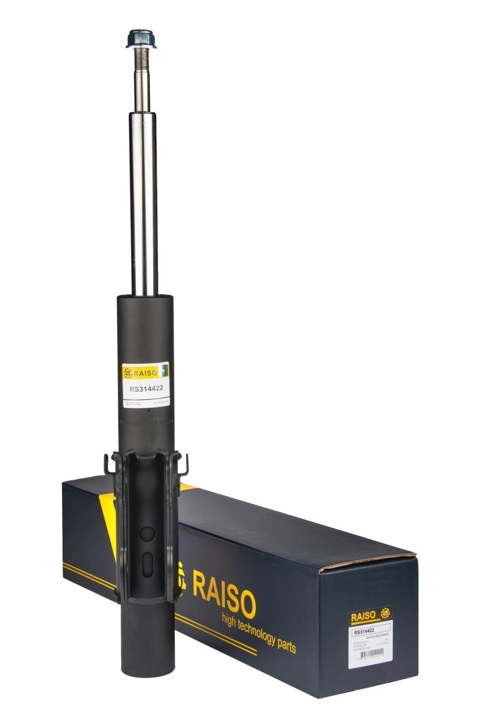 Купити RAISO RS314422 за низькою ціною в Україні!