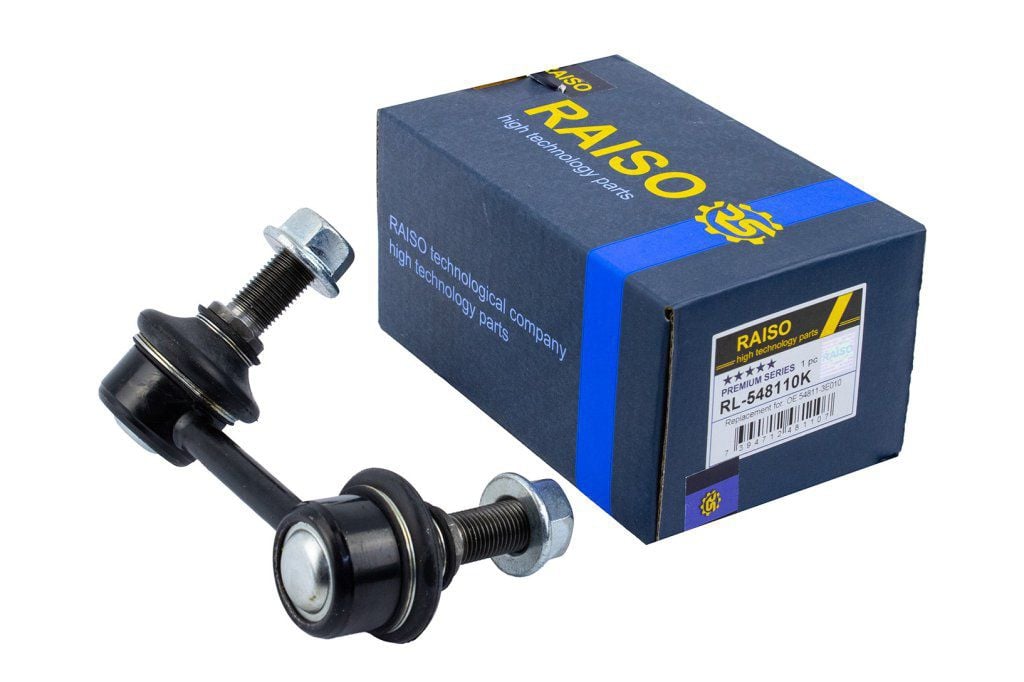 Купити RAISO RL-548110K за низькою ціною в Україні!