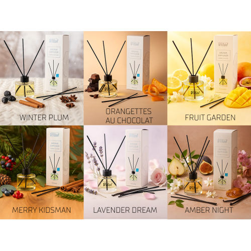 Ароматизатор воздуха VITOL Home Sticks Winter Plum 130 мл Vitol VHS06