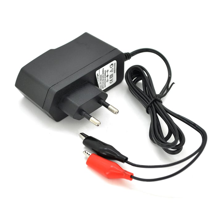 10555 Voltronic Зарядное устройство Merlion PPI-602000 6V 1A клеммы (AGM/GEL)
