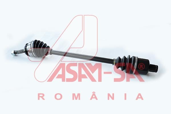 ASAM 30211 Вал привідний 30211: Купити в Україні - Добра ціна на EXIST.UA!