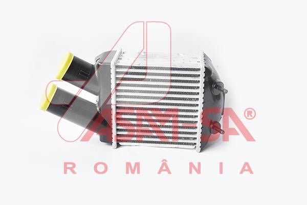 ASAM 32425 Охолоджувач наддувального повітря 32425: Купити в Україні - Добра ціна на EXIST.UA!