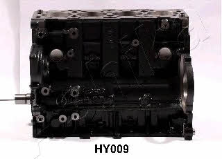Секційний двигун Ashika HY009