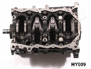 Ashika HY009 Секційний двигун HY009: Купити в Україні - Добра ціна на EXIST.UA!
