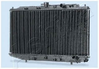 Ashika RDA192206 Радіатор охолодження двигуна RDA192206: Купити в Україні - Добра ціна на EXIST.UA!