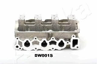 Головка блоку циліндрів Ashika DW001S
