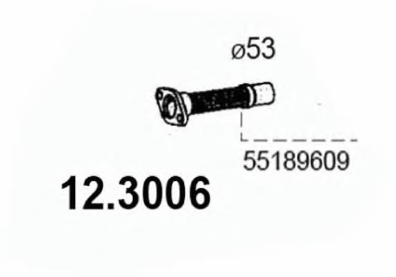 Asso 12.3006 Вихлопна труба 123006: Купити в Україні - Добра ціна на EXIST.UA!