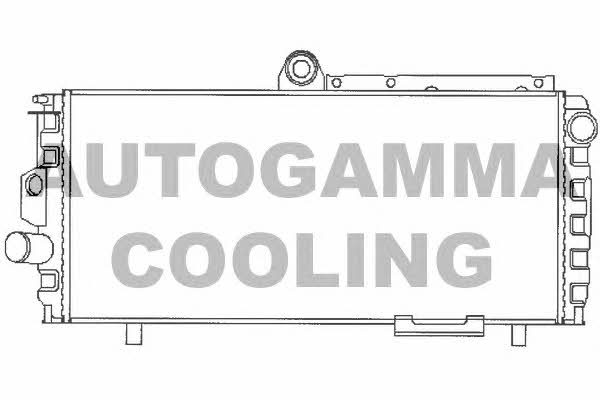Autogamma 100001 Радіатор охолодження двигуна 100001: Купити в Україні - Добра ціна на EXIST.UA!