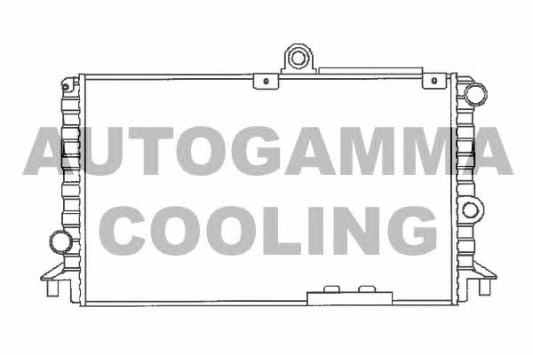 Autogamma 100004 Радіатор охолодження двигуна 100004: Купити в Україні - Добра ціна на EXIST.UA!