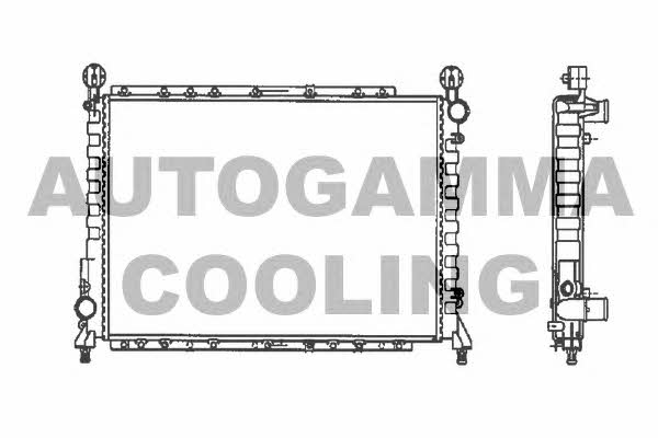 Autogamma 100012 Радіатор охолодження двигуна 100012: Купити в Україні - Добра ціна на EXIST.UA!