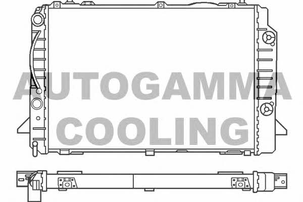 Autogamma 100053 Радіатор охолодження двигуна 100053: Купити в Україні - Добра ціна на EXIST.UA!
