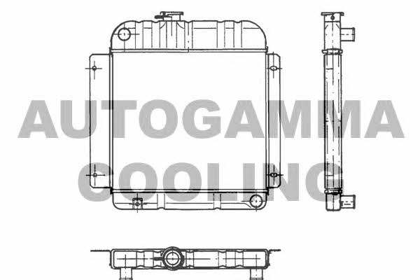 Autogamma 100080 Радіатор охолодження двигуна 100080: Купити в Україні - Добра ціна на EXIST.UA!