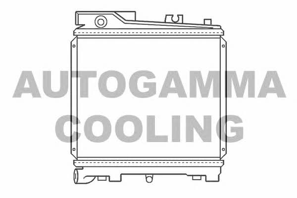 Autogamma 100102 Радіатор охолодження двигуна 100102: Купити в Україні - Добра ціна на EXIST.UA!