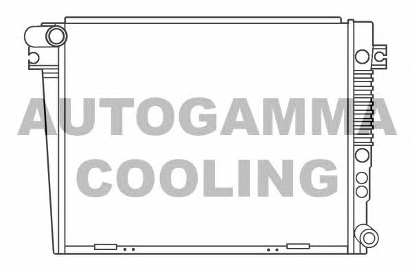 Autogamma 100135 Радіатор охолодження двигуна 100135: Купити в Україні - Добра ціна на EXIST.UA!