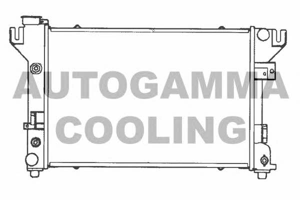 Autogamma 100136 Радіатор охолодження двигуна 100136: Купити в Україні - Добра ціна на EXIST.UA!