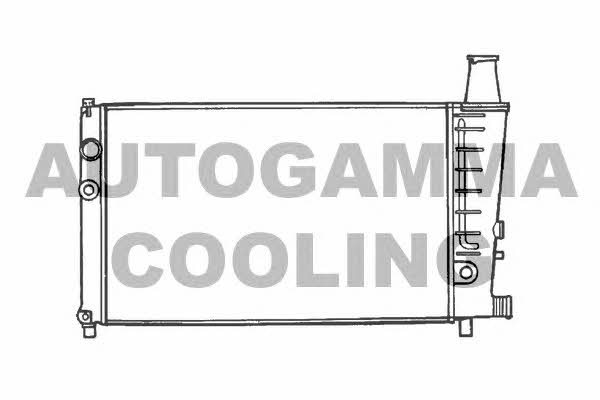 Autogamma 100166 Радіатор охолодження двигуна 100166: Купити в Україні - Добра ціна на EXIST.UA!