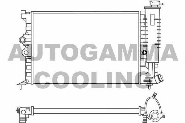 Autogamma 100203 Радіатор охолодження двигуна 100203: Купити в Україні - Добра ціна на EXIST.UA!