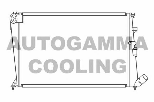 Autogamma 100204 Радіатор охолодження двигуна 100204: Купити в Україні - Добра ціна на EXIST.UA!