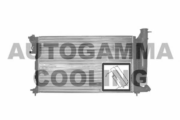 Autogamma 100212 Радіатор охолодження двигуна 100212: Купити в Україні - Добра ціна на EXIST.UA!
