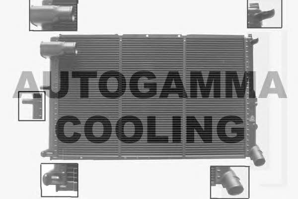 Autogamma 100222 Радіатор охолодження двигуна 100222: Купити в Україні - Добра ціна на EXIST.UA!