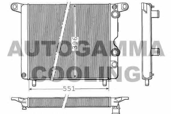 Autogamma 100253 Радіатор охолодження двигуна 100253: Купити в Україні - Добра ціна на EXIST.UA!