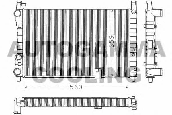 Autogamma 100298 Радіатор охолодження двигуна 100298: Купити в Україні - Добра ціна на EXIST.UA!