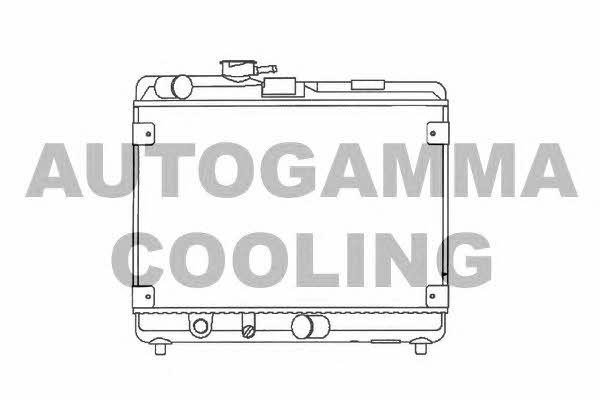 Autogamma 100303 Радіатор охолодження двигуна 100303: Купити в Україні - Добра ціна на EXIST.UA!