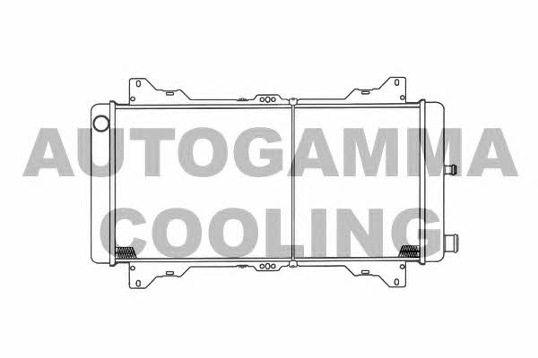 Autogamma 100336 Радіатор охолодження двигуна 100336: Купити в Україні - Добра ціна на EXIST.UA!