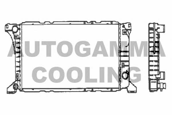 Autogamma 100393 Радіатор охолодження двигуна 100393: Купити в Україні - Добра ціна на EXIST.UA!