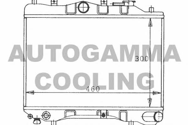 Autogamma 100481 Радіатор охолодження двигуна 100481: Купити в Україні - Добра ціна на EXIST.UA!