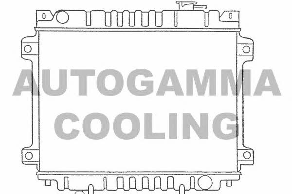 Autogamma 100494 Радіатор охолодження двигуна 100494: Купити в Україні - Добра ціна на EXIST.UA!