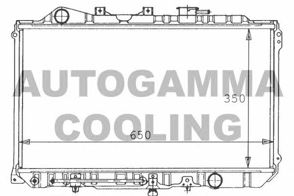 Autogamma 100496 Радіатор охолодження двигуна 100496: Купити в Україні - Добра ціна на EXIST.UA!