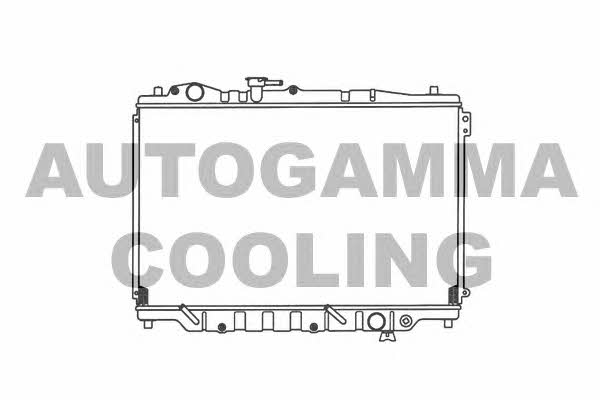 Autogamma 100502 Радіатор охолодження двигуна 100502: Приваблива ціна - Купити в Україні на EXIST.UA!