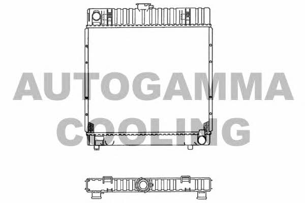 Autogamma 100527 Радіатор охолодження двигуна 100527: Купити в Україні - Добра ціна на EXIST.UA!