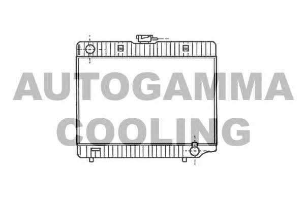 Autogamma 100534 Радіатор охолодження двигуна 100534: Приваблива ціна - Купити в Україні на EXIST.UA!