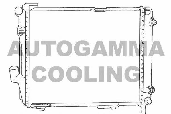 Autogamma 100544 Радіатор охолодження двигуна 100544: Купити в Україні - Добра ціна на EXIST.UA!