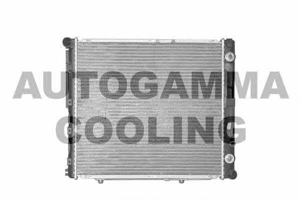 Autogamma 100549 Радіатор охолодження двигуна 100549: Купити в Україні - Добра ціна на EXIST.UA!